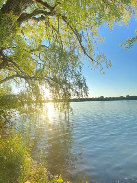 Memilih Ketenteraman di Tengah Kesibukan